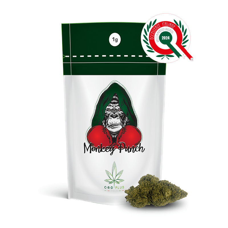 MonkeyPunch-1g-BustaDemo&Fiore-EI