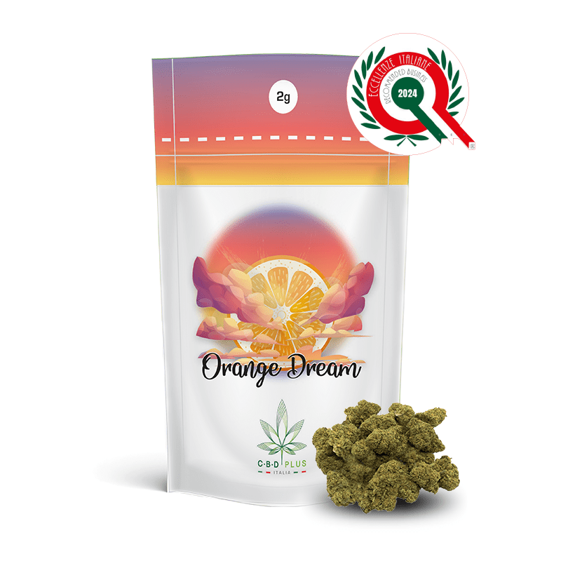OrangeDream-2g-BustaDemo&Fiore-EI