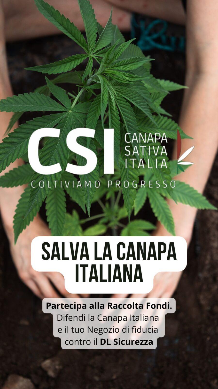 raccolta fondi CSI
