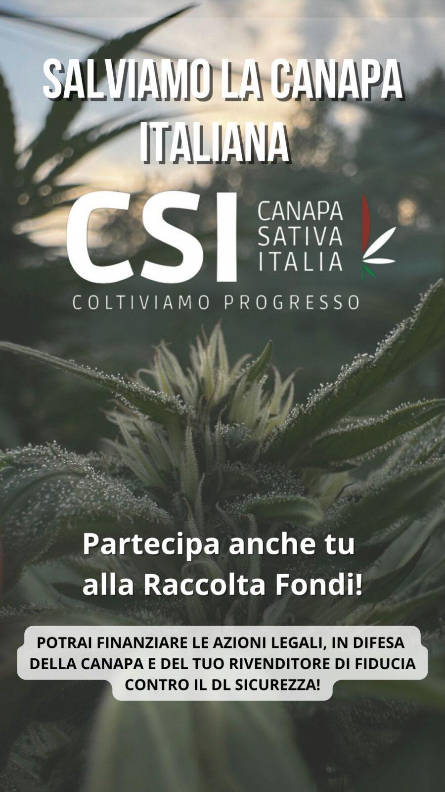 raccolta fondi CSI2