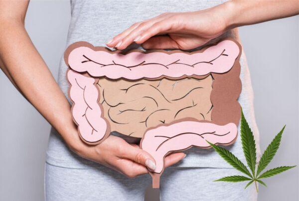 aceite-cbd-para-intestino-enfermedades-digestivas
